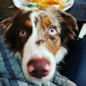 Meet your Posher, Alena